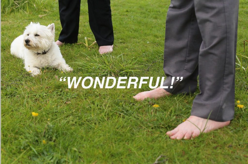 A visual graphic of two pairs of feet stood barefoot on grass. A westie dog is also laid by one person's feet. Overlaid, the text reads: wonderful!