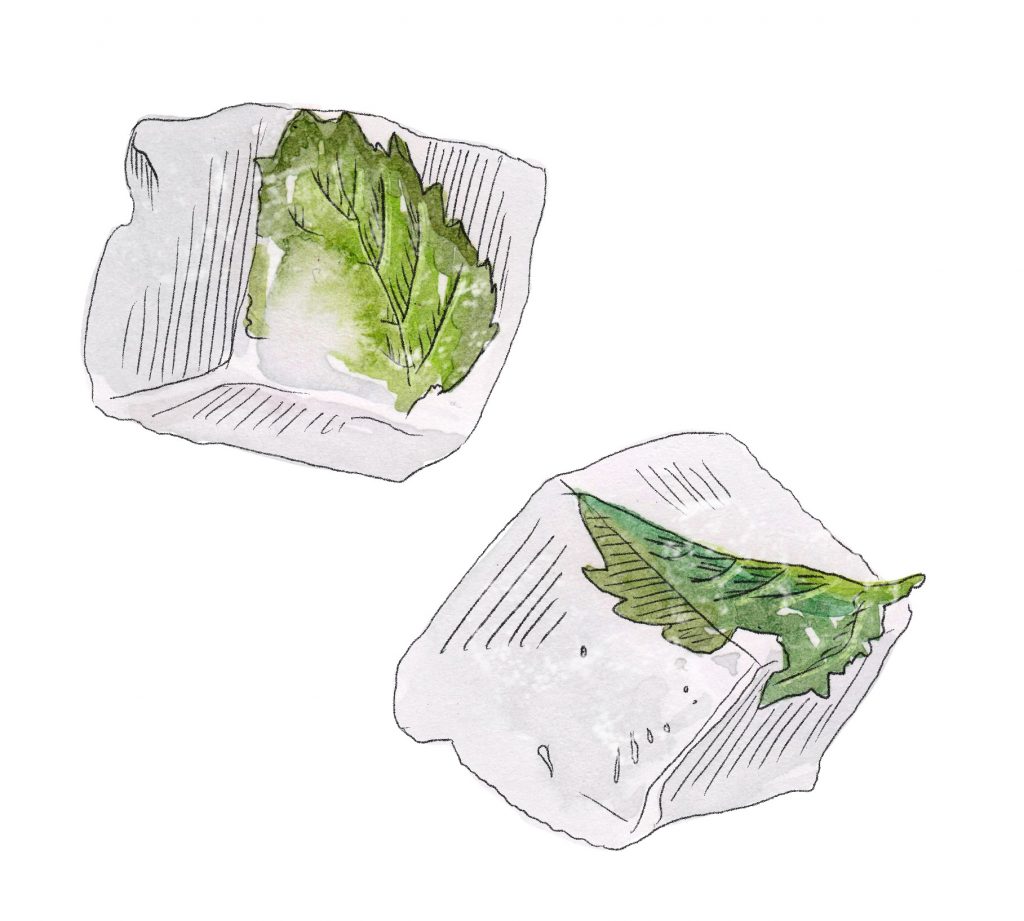 an illustration of two ice cubes with mint leaves frozen inside
