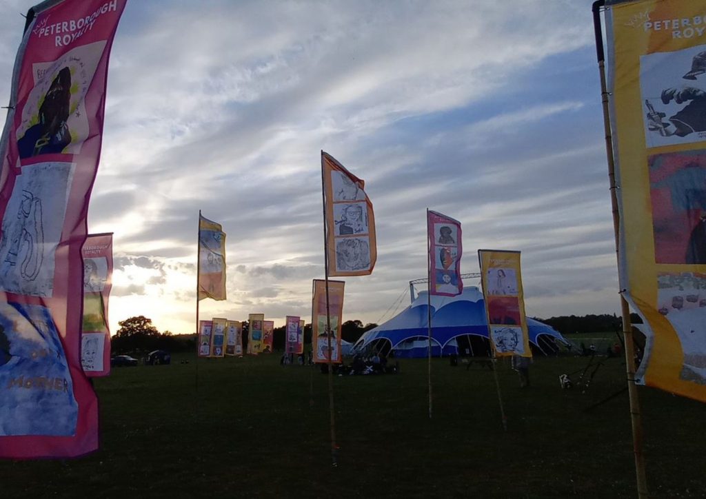 Flags on poles in the grass. The flags have art on them.