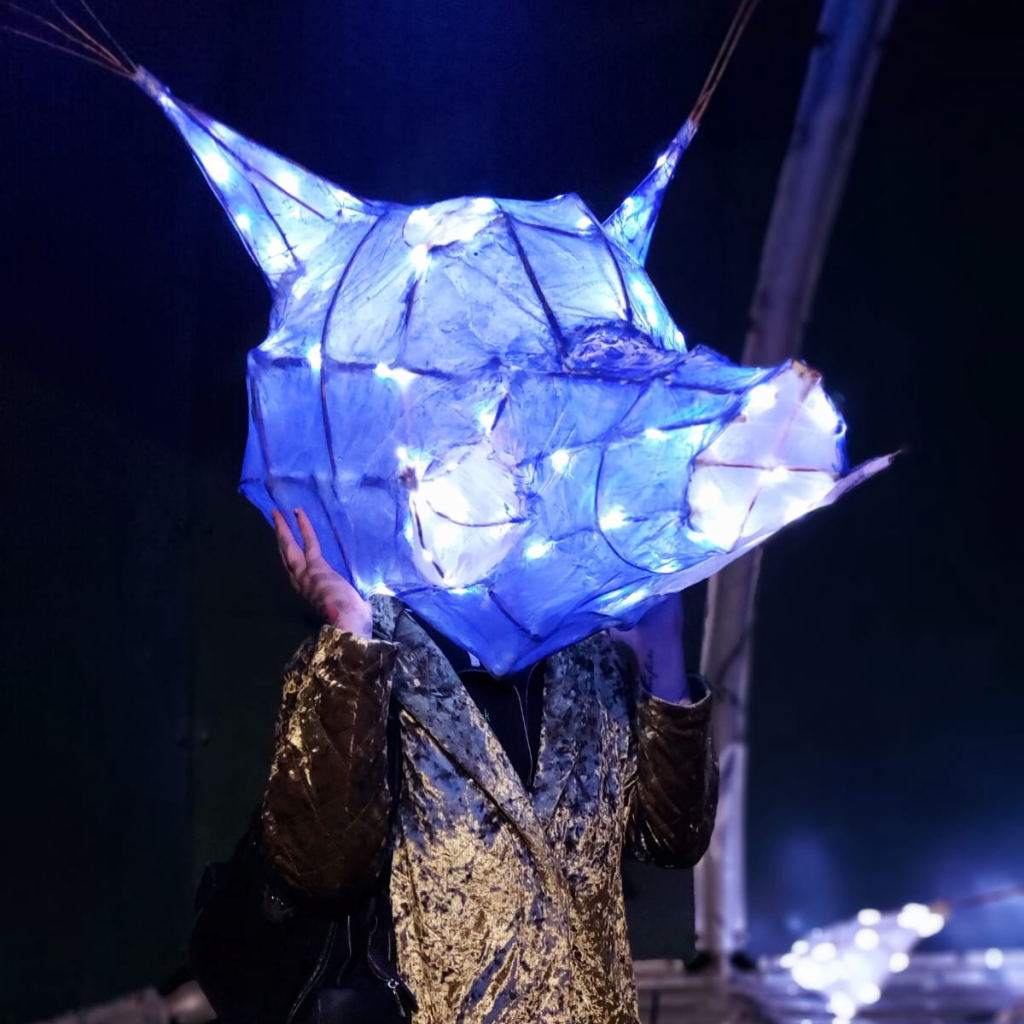 A lantern in the shape of a large boar head, (over some persons head). Part of the Lantern parade.
