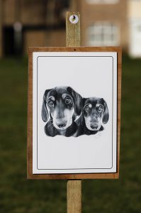A realistic drawing of two dachshunds on display on a wooden sign thats fixed into the grass by a wooden post