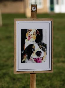 A realistic painting of two border collies on display on a wooden sign thats fixed into the grass by a wooden post