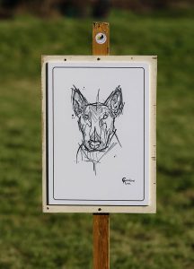 A stylised drawing of an english bull terrier on display on a wooden sign thats fixed into the grass by a wooden post