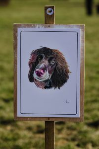 A realistic painting of a spaniel, on display on a wooden sign thats fixed into the grass by a wooden post