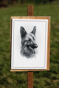 A realistic drawing of a german shepherd on display on a wooden sign thats fixed into the grass by a wooden post