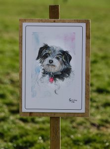 a stylised watercolour painting of a terrier mix, on display on a wooden sign thats fixed into the grass by a wooden post