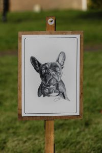 A realistic drawing of a french bulldog, on display on a wooden sign which is secured by a post thats in the grass.