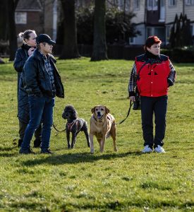 Three people walking their two dogs, a poodle and a labrador. Stood on the grass. The event was WestWoof dog walk and social in Westwood, Peterborough.