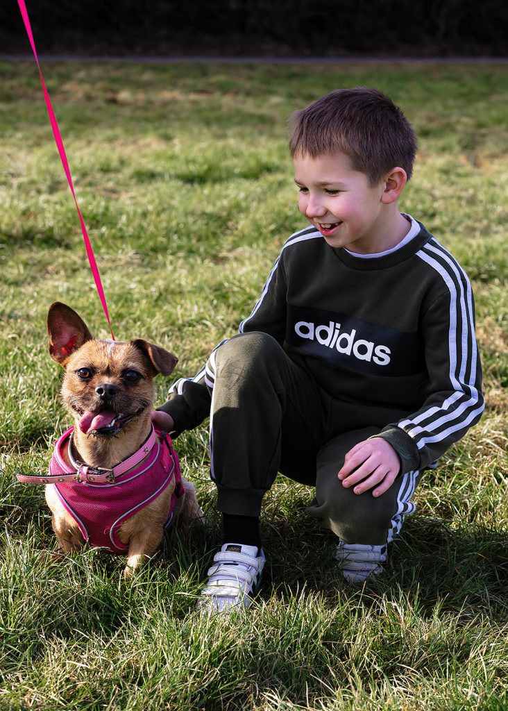 A french bulldog cross pug, on a lead on the grass with a child crouched down next to them. The event was WestWoof dog walk and social in Westwood, Peterborough.