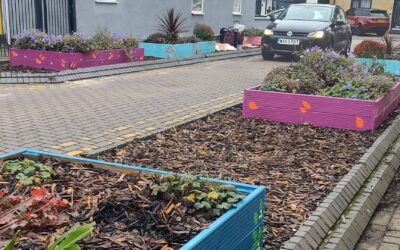 Millfield Planters Painting Weekend