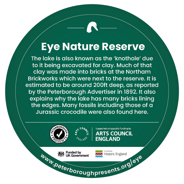 A green circle design for the digging down, building up heritage trail. The design includes an icon of a fossil followed by text reading ' Eye Nature Reserve The lake is also known as the ‘knothole’ due to it being excavated for clay. Much of that clay was made into bricks at the Northam Brickworks which were next to the reserve. It is estimated to be around 200ft deep, as reported by the Peterborough Advertiser in 1892. It also explains why the lake has many bricks lining the edges. Many fossils including those of a Jurassic crocodile were also found here. ' Along the bottom are logos for Peterborough presents, Arts council england and historic england.