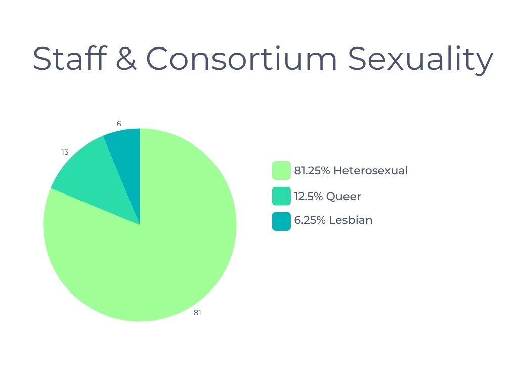 11 pie chart showing staff sexuality stats