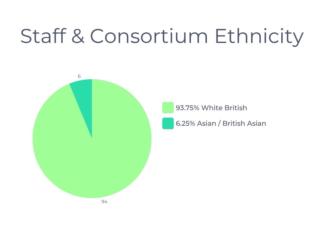 12 pie chart showing staff ethnicity stats