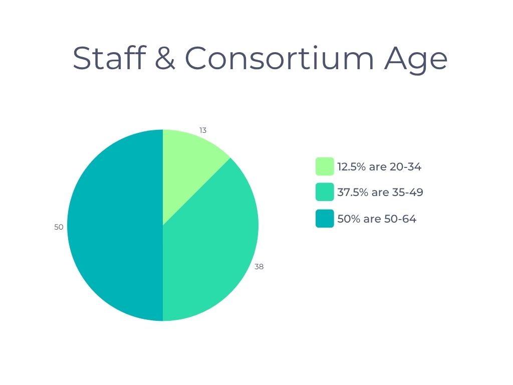 13 pie chart showing staff age stats