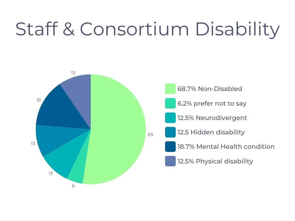 14 pie chart showing staff disability stats