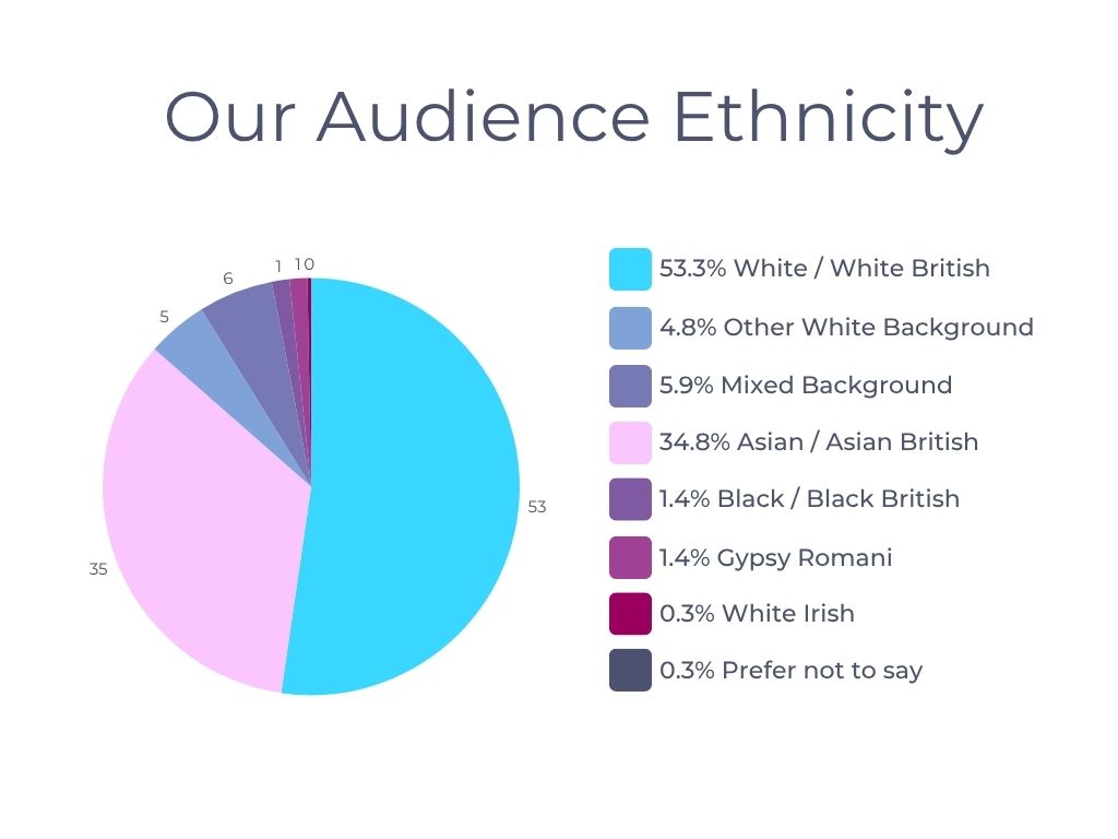 2 pie chart breakdown of audience ethnicity