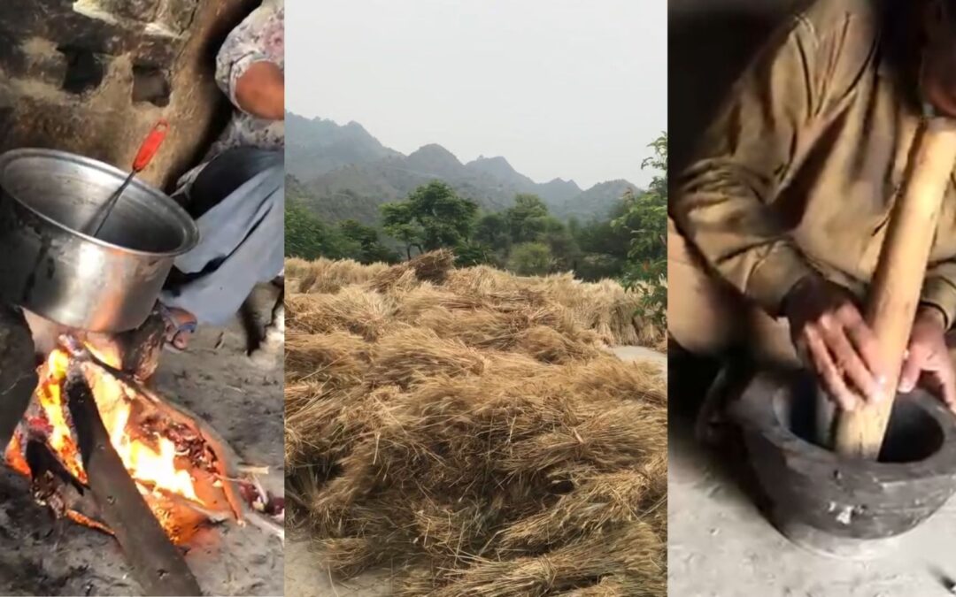 3 images of a South Asian Homestead which will be used to inspire as part of an Art Installation. on the left is a cooking pot on a real fire, in the middle is a courtyard full of harvested hay/straw, and on the right is a large pestle and mortar being used by a man sitting on the floor.